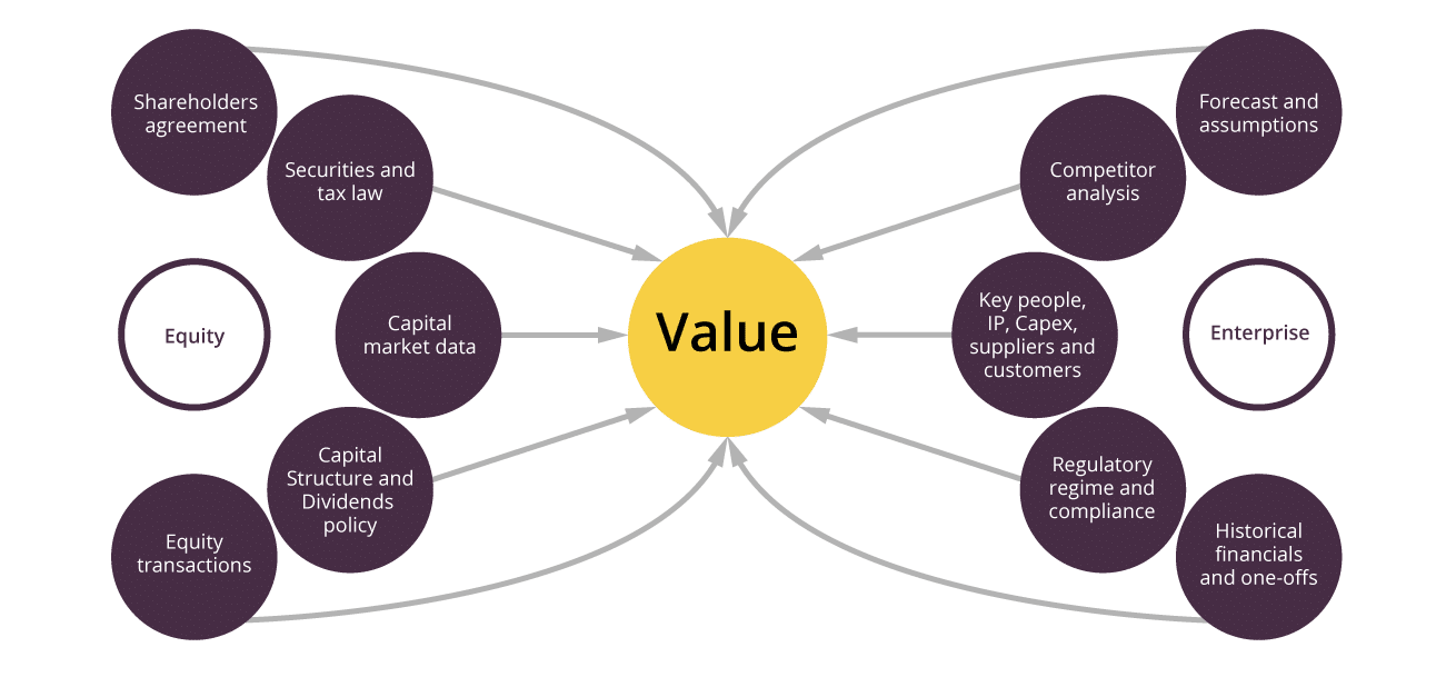 Equity Value Assessment Schematic