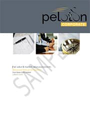 mining-valuation-report Mining valuation report