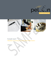 mining-valuation-report072026 Sample Mining Report